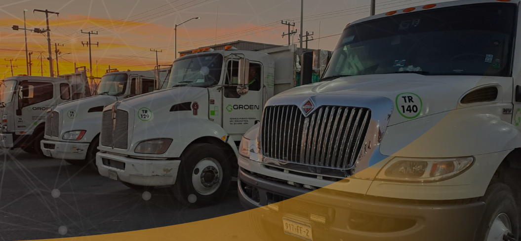 Blog Transneyno revoluciona